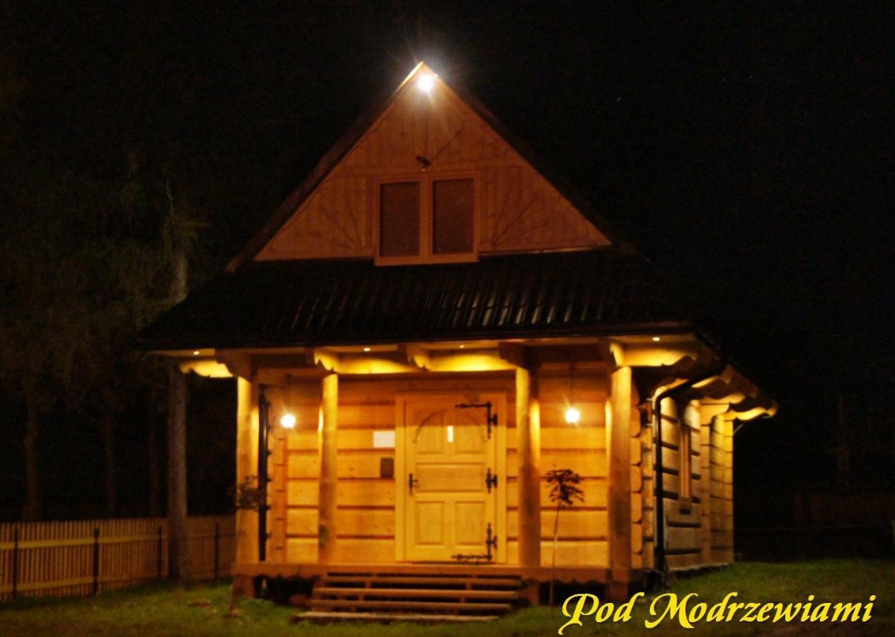 Pod Modrzewiami Villa Ciche  Kültér fotó