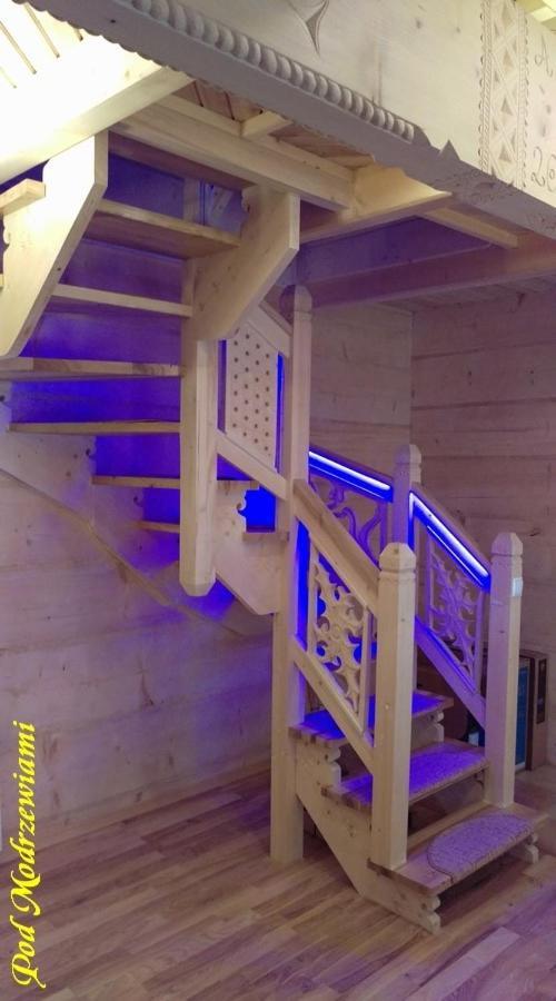 Pod Modrzewiami Villa Ciche  Kültér fotó