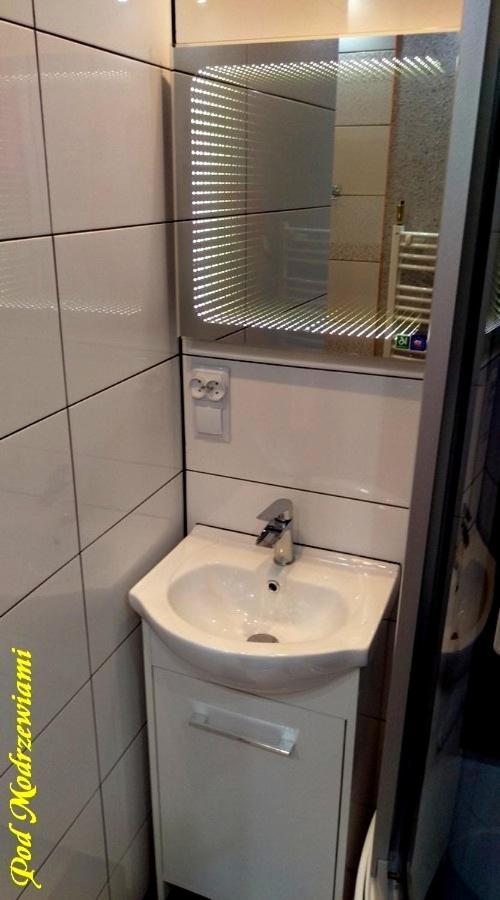 Pod Modrzewiami Villa Ciche  Kültér fotó