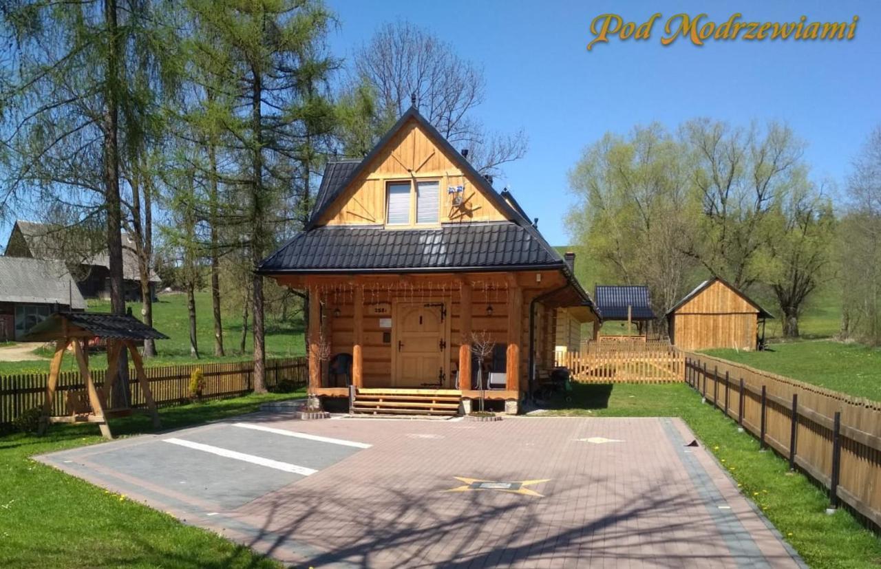 Pod Modrzewiami Villa Ciche  Kültér fotó